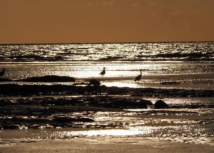 Les Nord'Mandines
